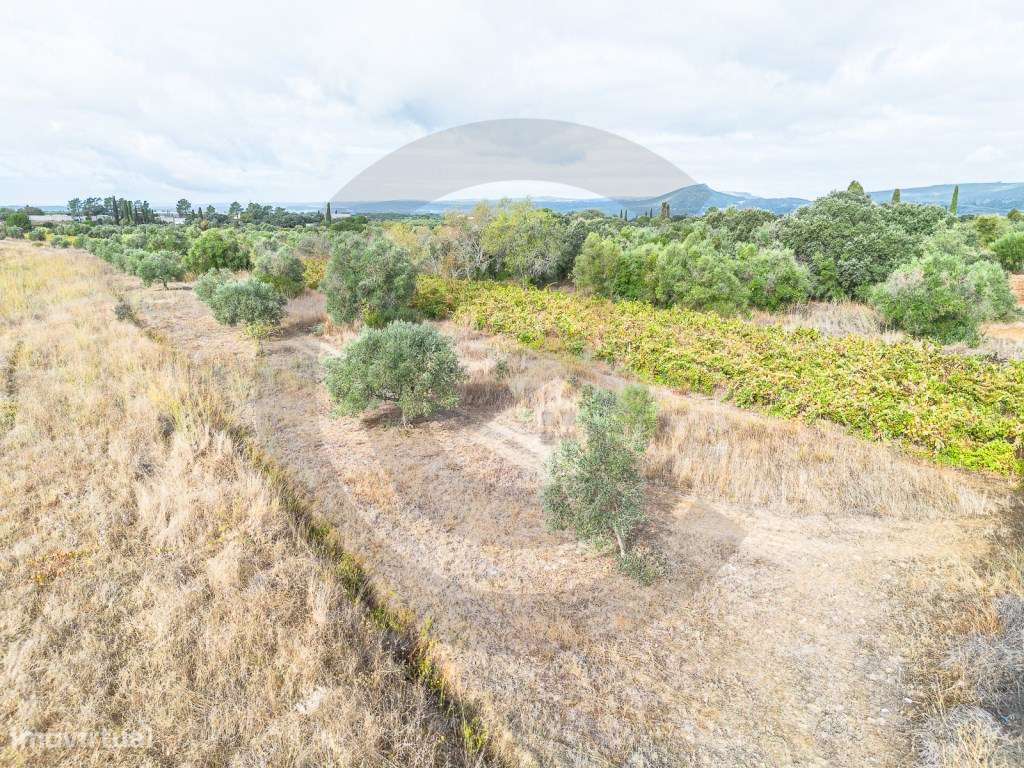 Terreno rústico - Grande imagem: 5/7