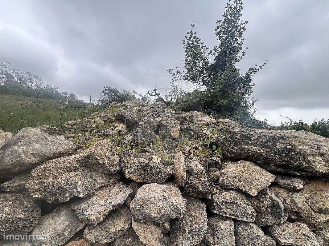 Terreno  para venda - Grande imagem: 5/11