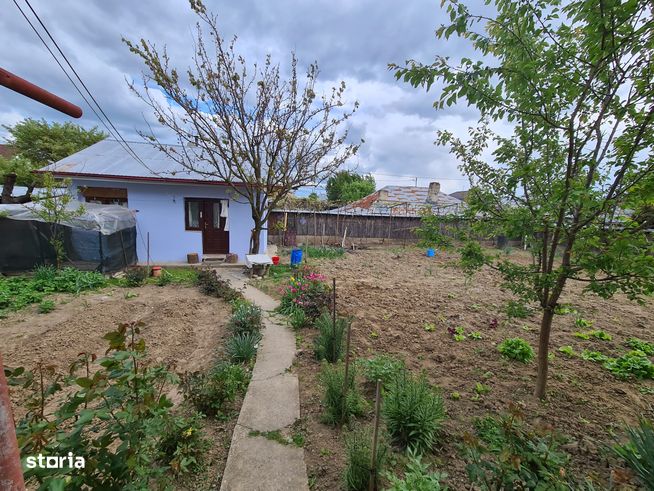 Casa 6 camere, 850 mp teren,Serbanesti- Bacau-10