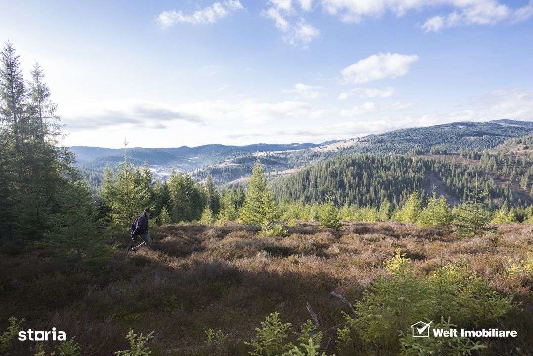 Se vinde teren cat un munte in Apuseni - Poiana Horea-0
