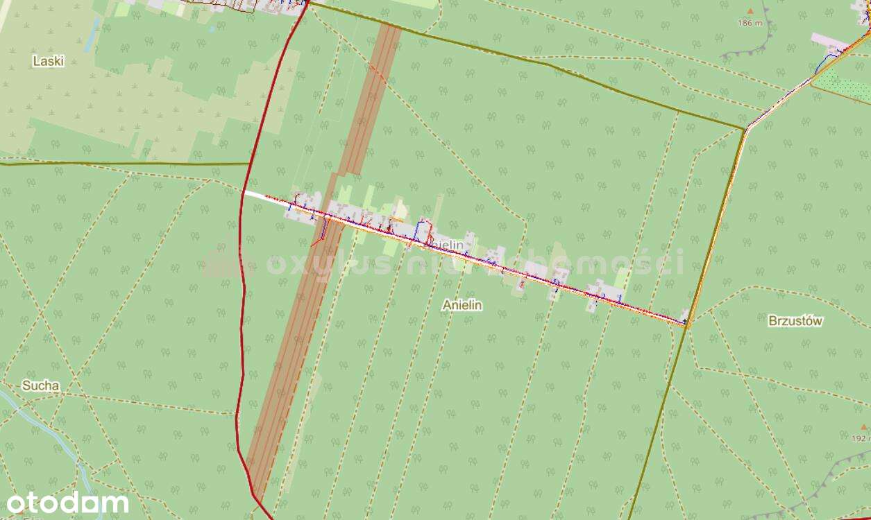 Działki w Anielinie – 14 ha z potencjałem-3