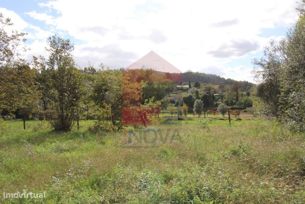 Quintinha em Travassós, Vila Verde - Grande imagem: 4/6