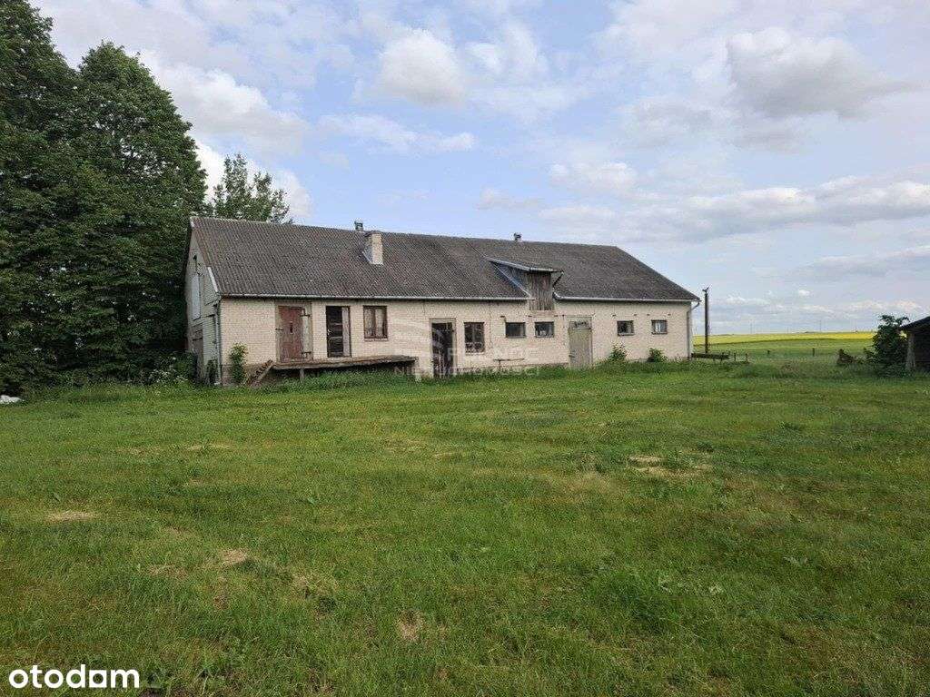 Gospodarstwo rolne z Domem i zabudowaniami . - Pełny obrazek: 4/6