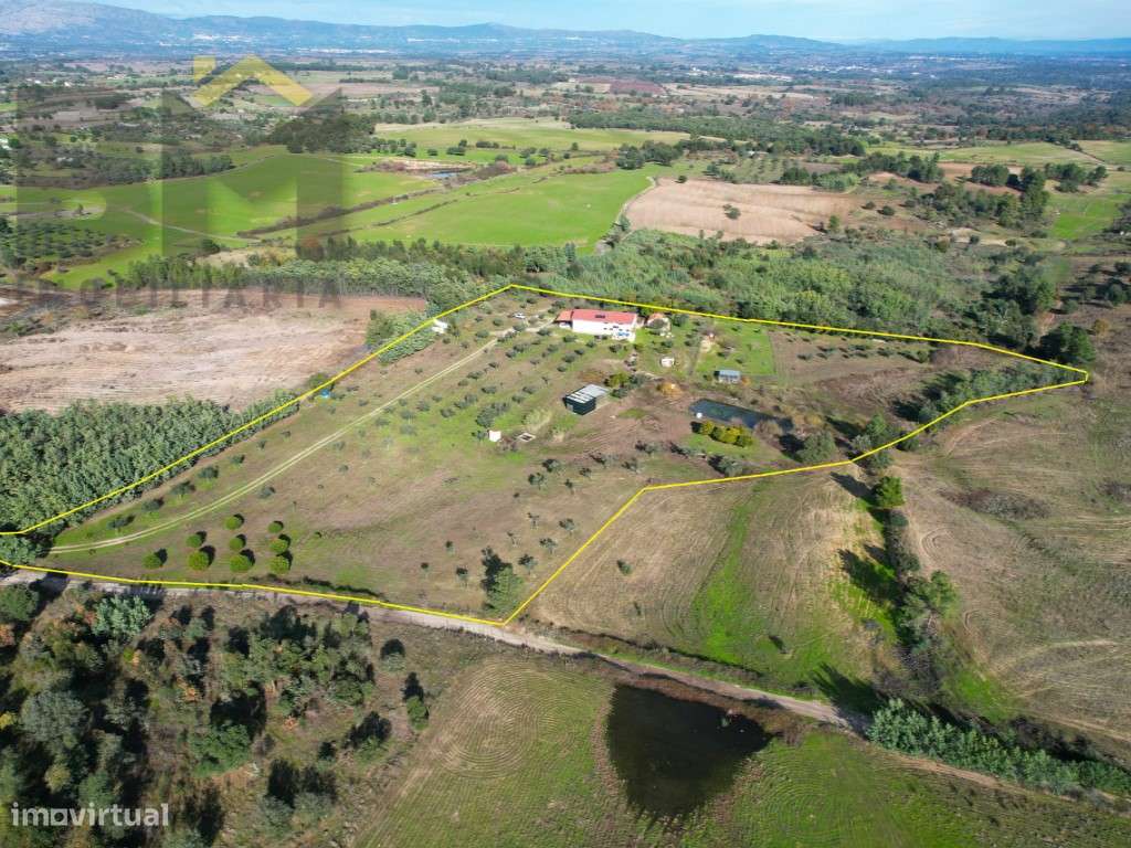 Quinta das Fontainhas - Propriedade Única em Lardosa-44