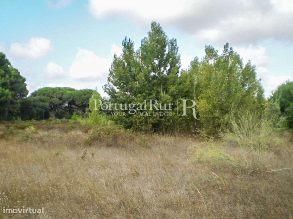 Terreno de 7500m2 para construção - Grande imagem: 2/7