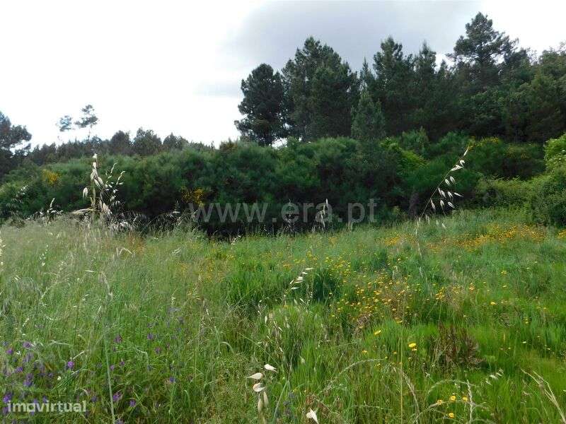 Terreno Rústico Estúdio / Fundão, Enxabarda - Grande imagem: 3/4