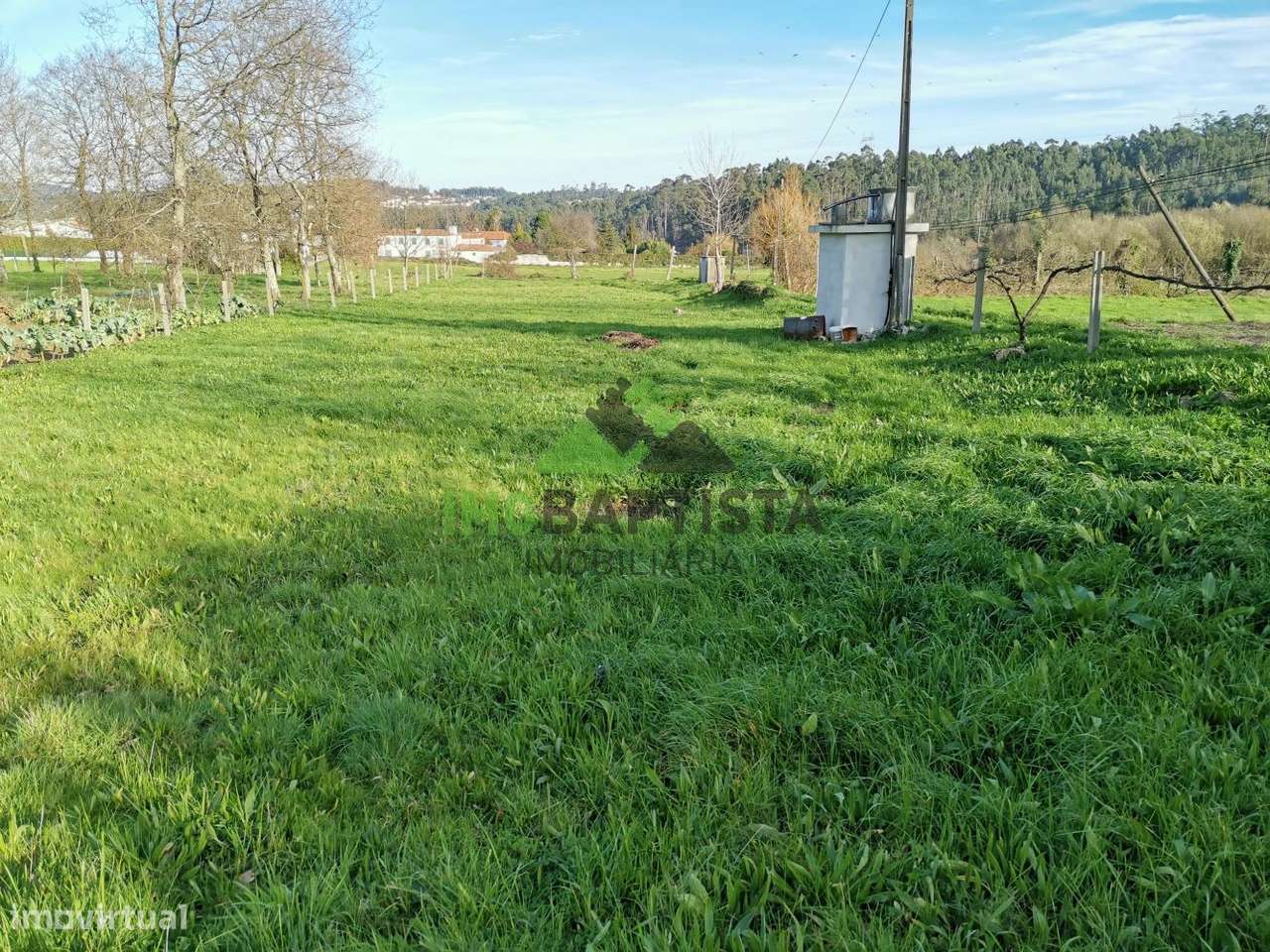 Terreno c/1100 m2 em Lobão - Grande imagem: 4/12