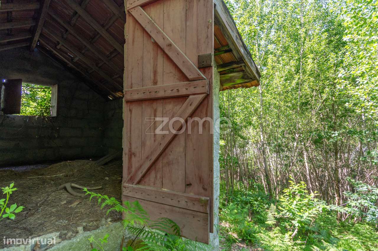 Terreno Rústico com Potencial Turístico - Grande imagem: 5/29