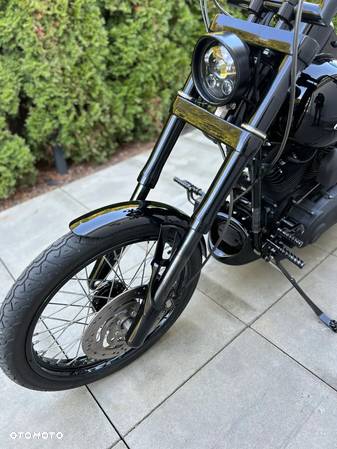 Harley-Davidson Softail - 21