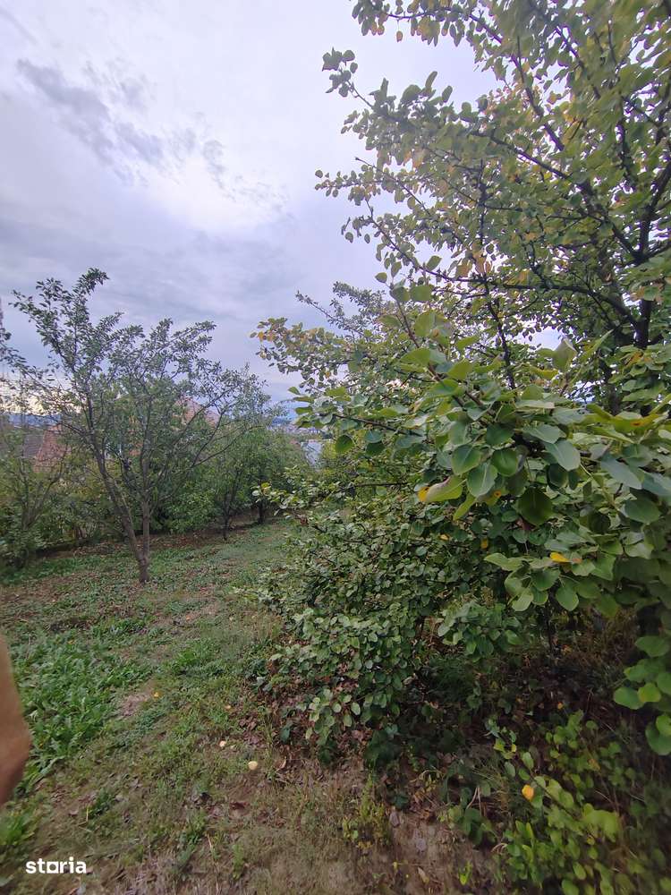 casa - 24 ari de teren - Valea Ghinzii-7