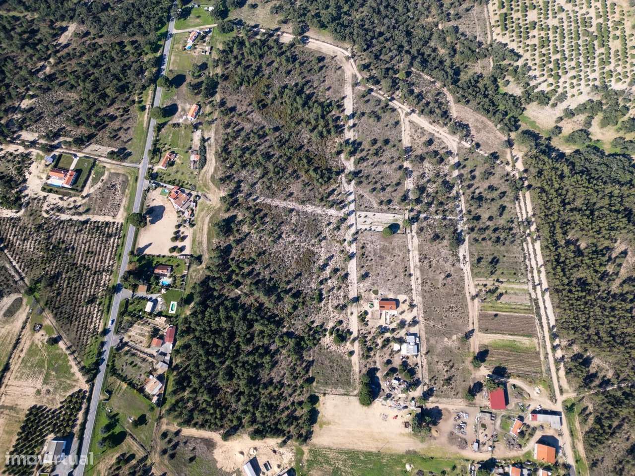 Terreno Rústico 7.5 ha, Lagoa de Santo André, Santiago do Cacem-8