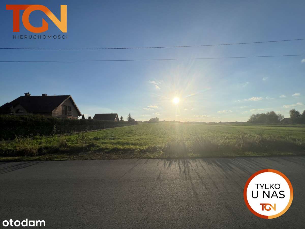 s832230 - Pełny obrazek: 4/7