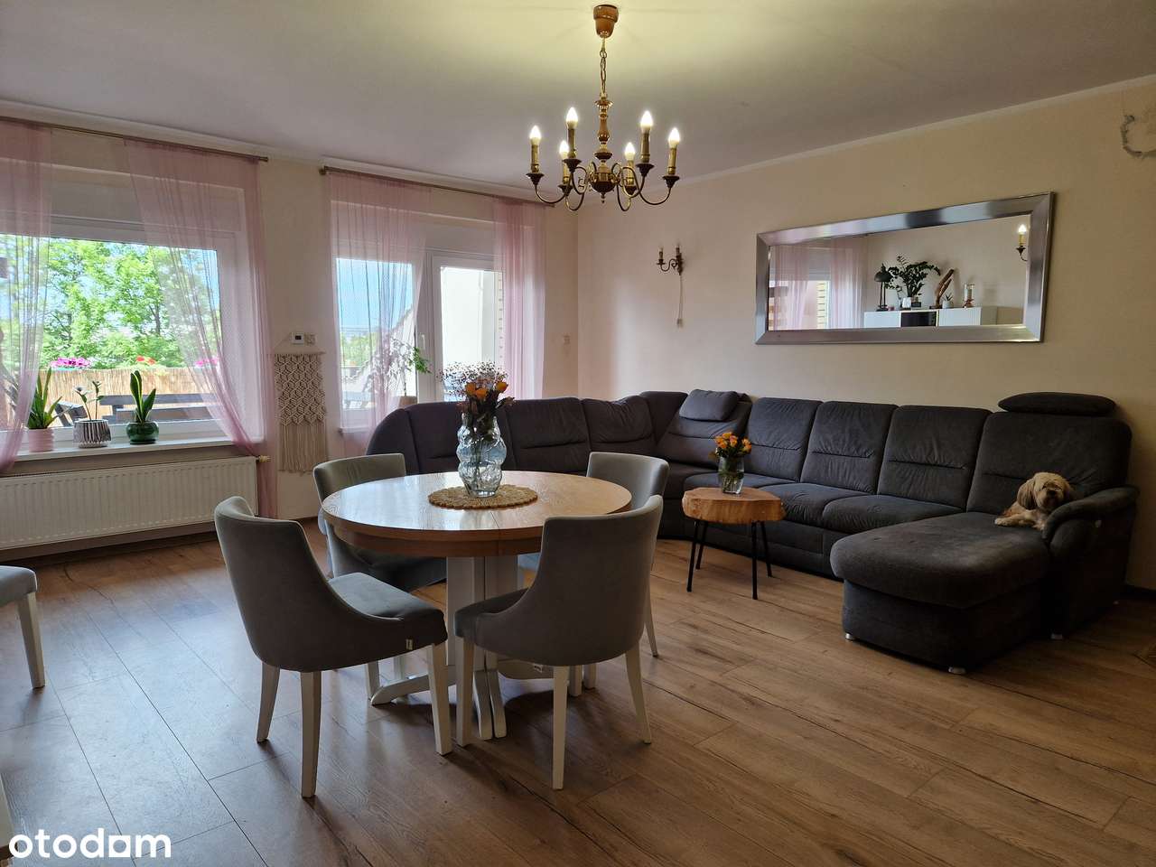 Rodzinny DOM blisko centrum miasta NA SPRZEDAŻ - Pełny obrazek: 5/13