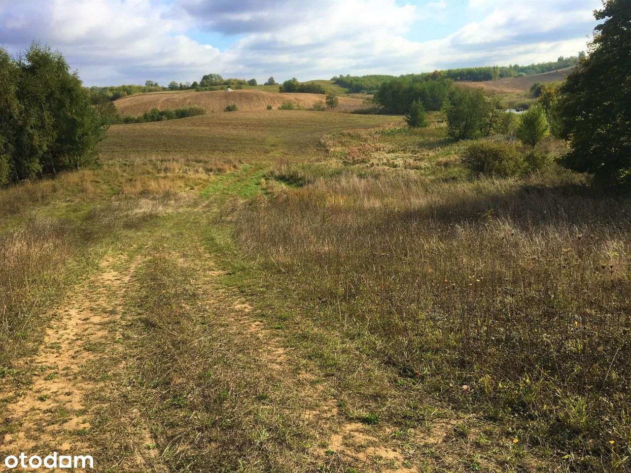 Działka bud.-rekreac. Radzynek gm. Brzuze MPZP - Pełny obrazek: 5/10