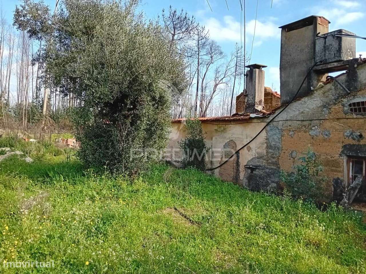 Moradia T3  para recuperar - Grande imagem: 3/6