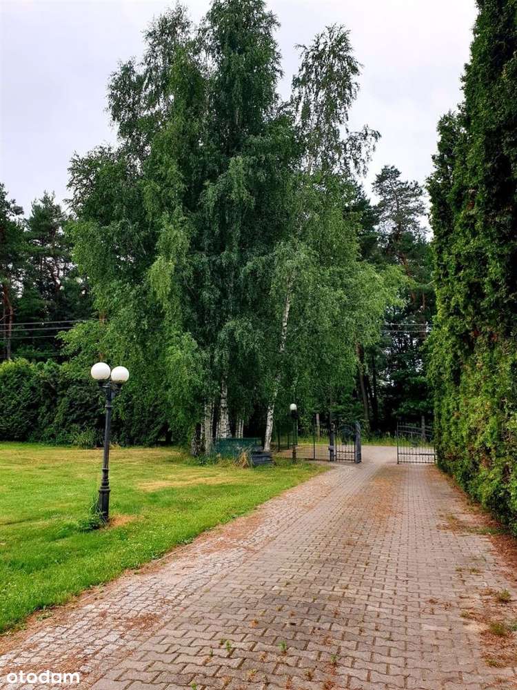 Dom przy lesie, działka ok. 3600m2-2