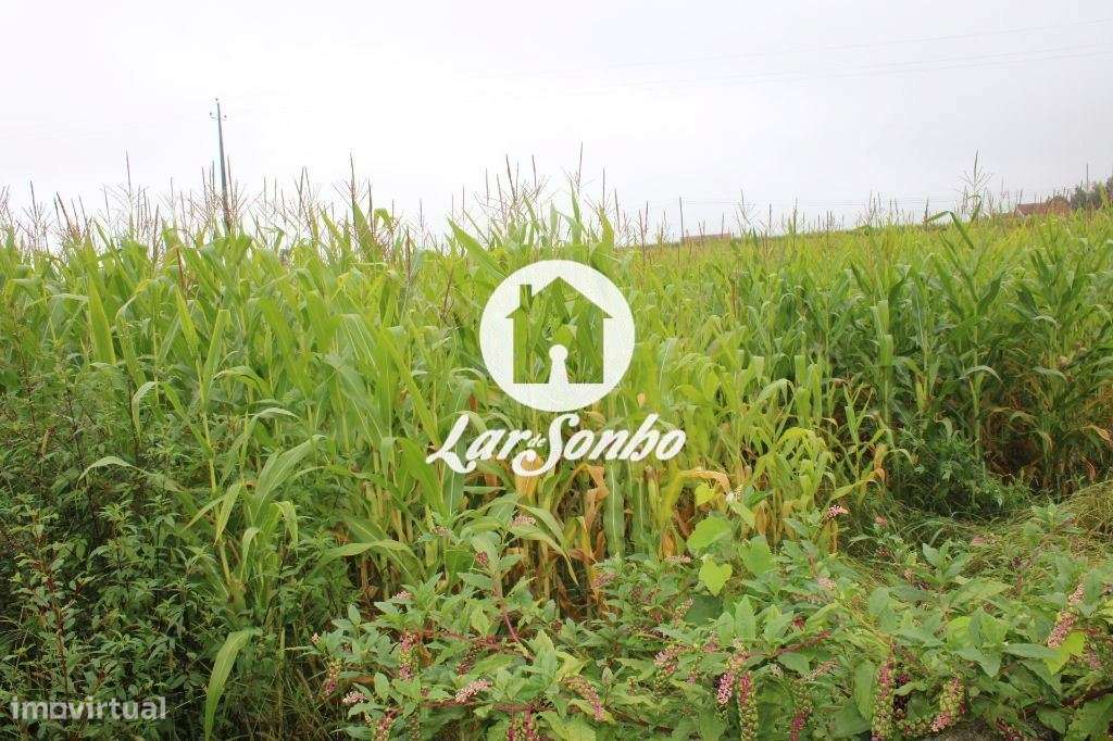 Terreno construção de Moradias - Grande imagem: 3/25