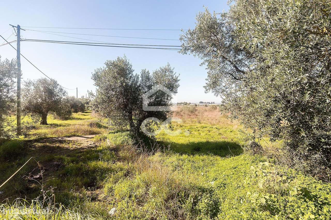 Terreno com 51.250 m2 para construção | Reguengos de Monsaraz - Grande imagem: 4/21