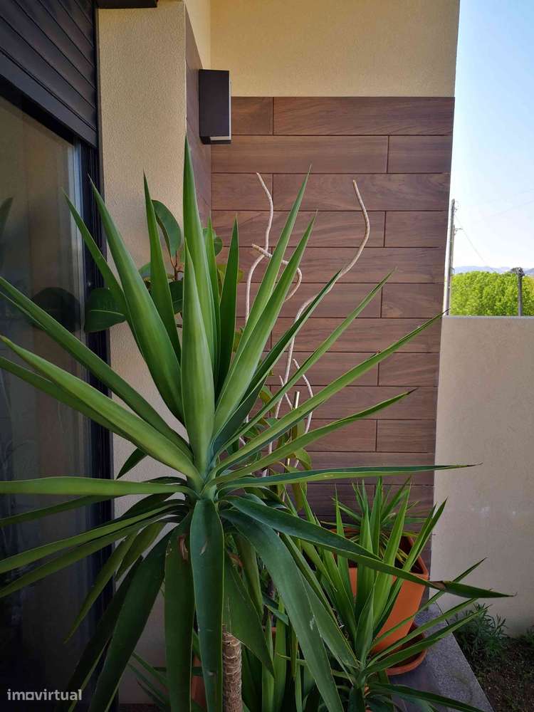 Moradia T4 com 3 frentes, ano 2020, no distrito do Porto - Grande imagem: 4/52