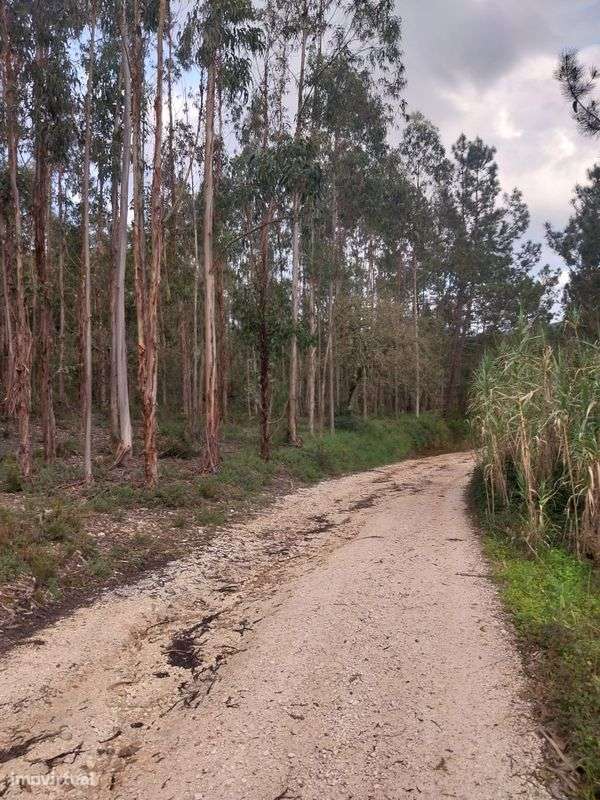 Terreno  para venda - Grande imagem: 2/6