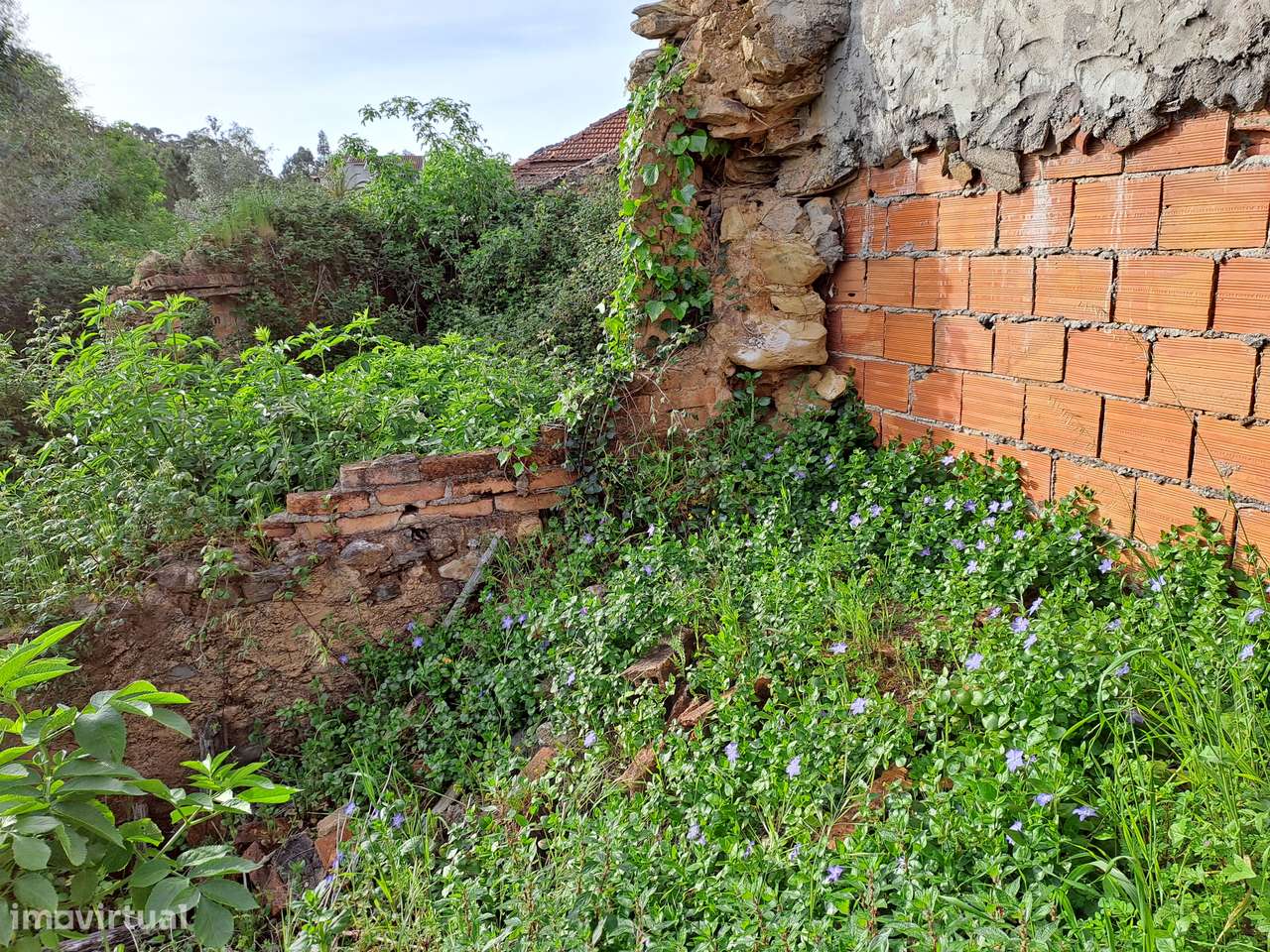 Moradia com Terreno - Excelente oportunidade - Semide-18