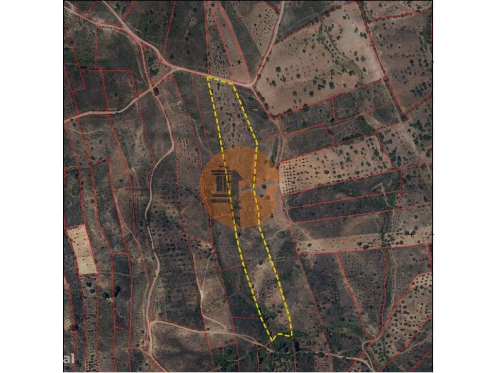 Terreno Rústico Porto Carvalhoso - Grande imagem: 2/24