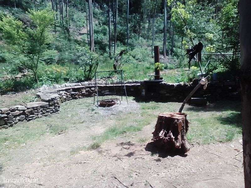 bonito terreno rustico a 5 km de Caminha. - Grande imagem: 4/5