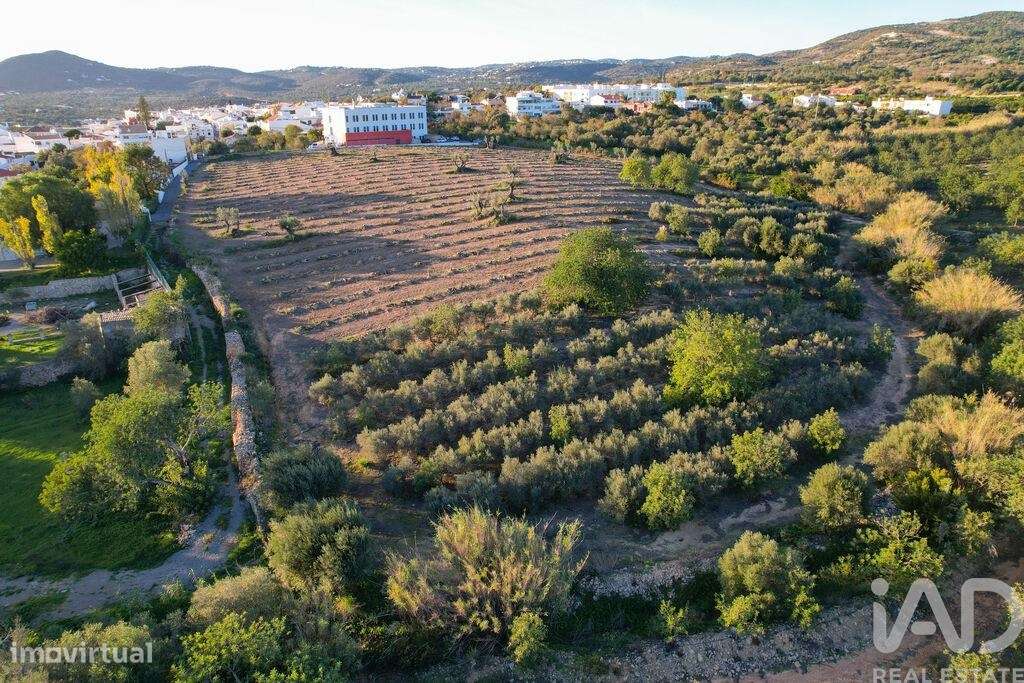 Terreno para construção em Conceição e Estoi de 8800,00 m2 - Grande imagem: 4/24