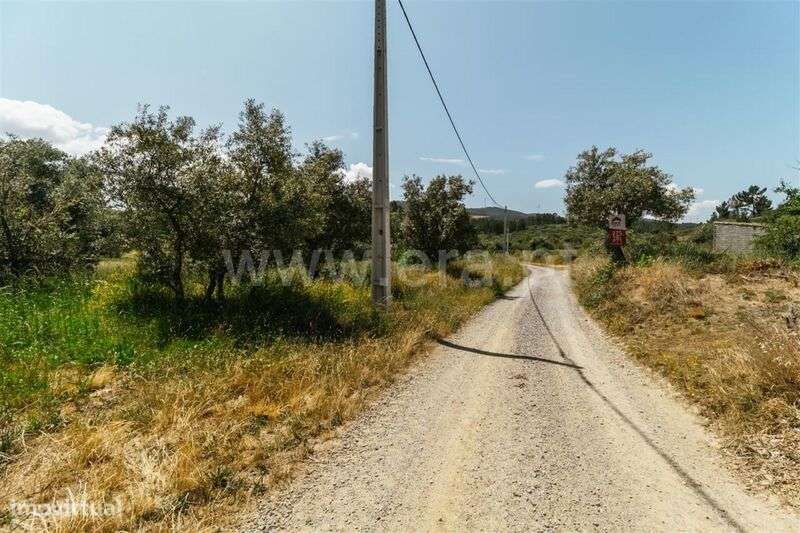 Quinta / Fundão, Castelejo - Grande imagem: 5/7