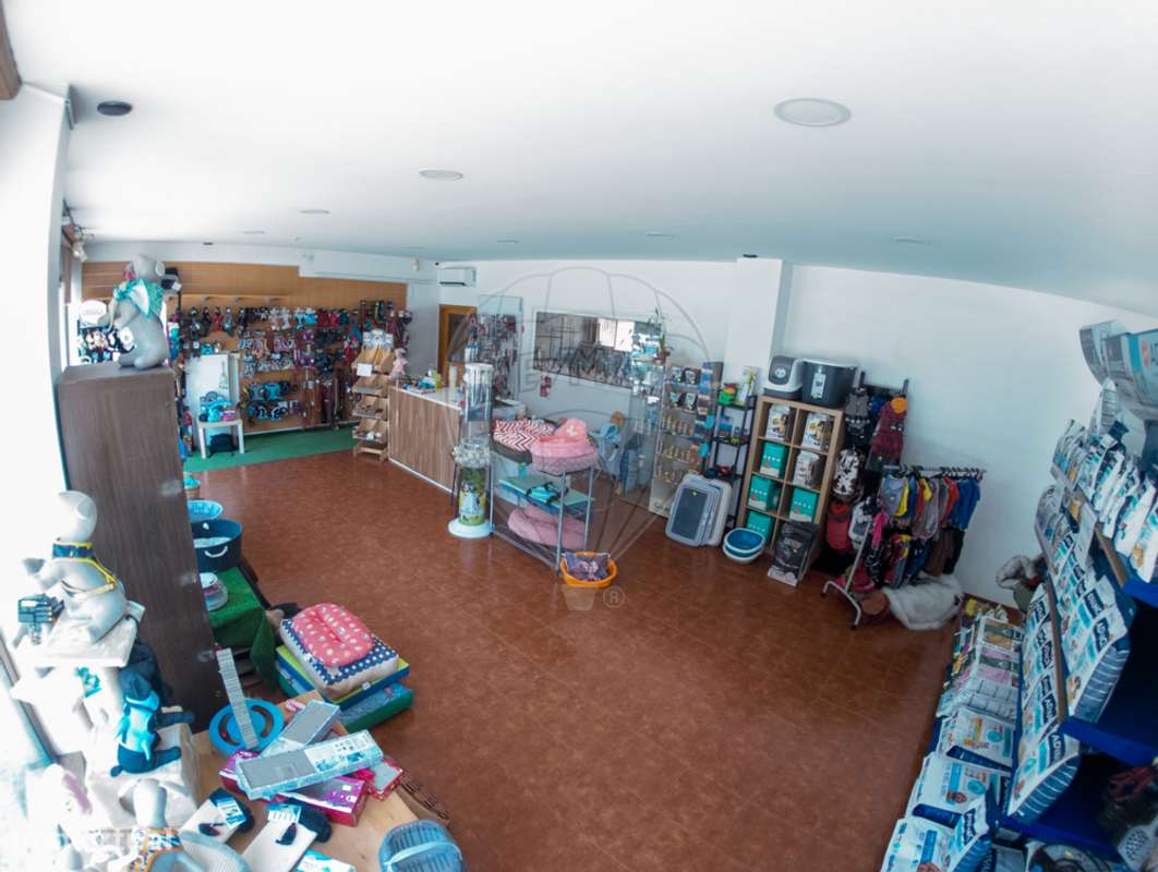 Trespasse  para venda - Grande imagem: 5/12