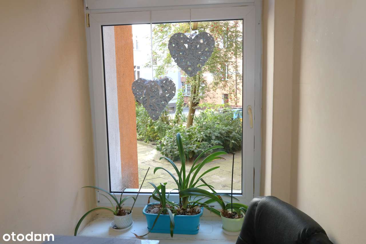 Do kapitalnego remontu kawalerka  obok TEATRU POLSKIEGO-9