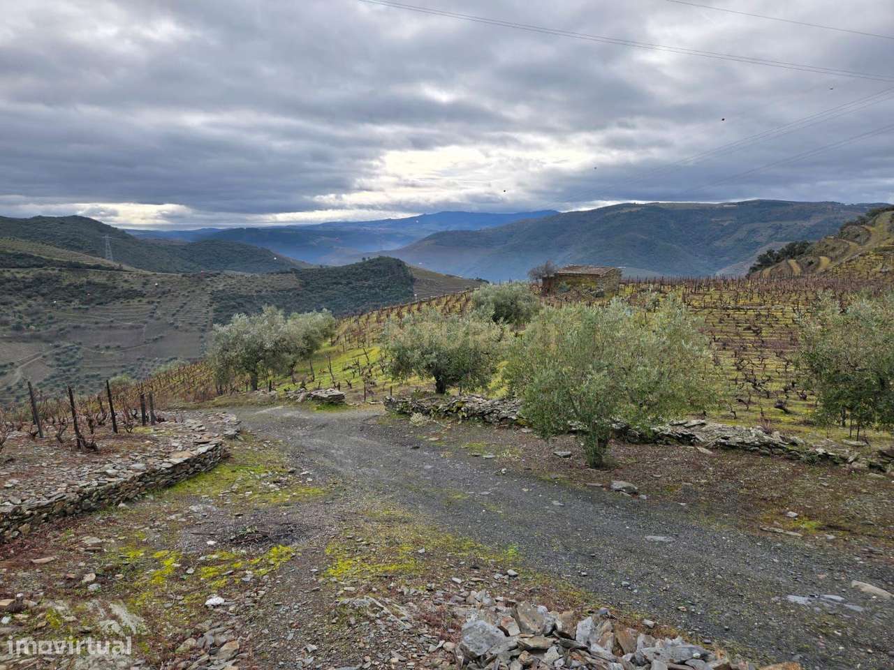 Tesouro Rústico no Coração do Douro – Um Convite à Natureza e à Tradiç - Grande imagem: 4/14