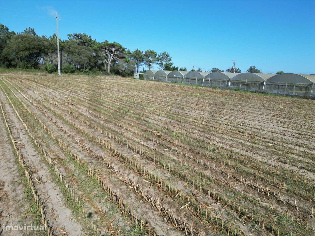 Terreno Rústico com 2,5 Hectares | Zona do Rio Alto – Estela, Póvoa de - Grande imagem: 5/24