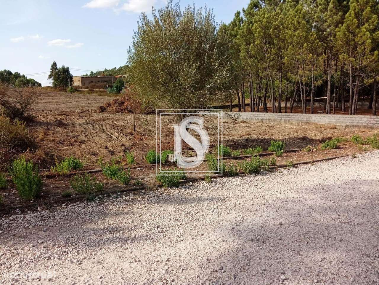 Terreno em UDF de Serra e Junceira - Grande imagem: 2/15