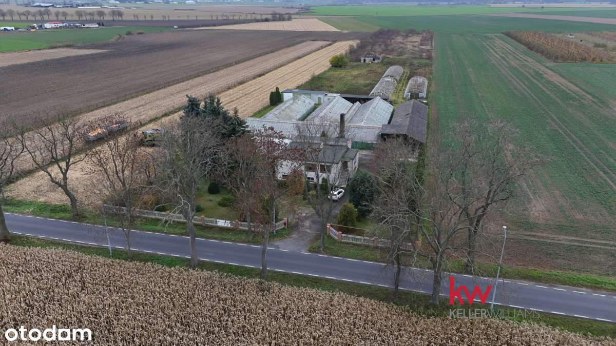 Dom/duża działka/wiele możliwości - Pełny obrazek: 5/9