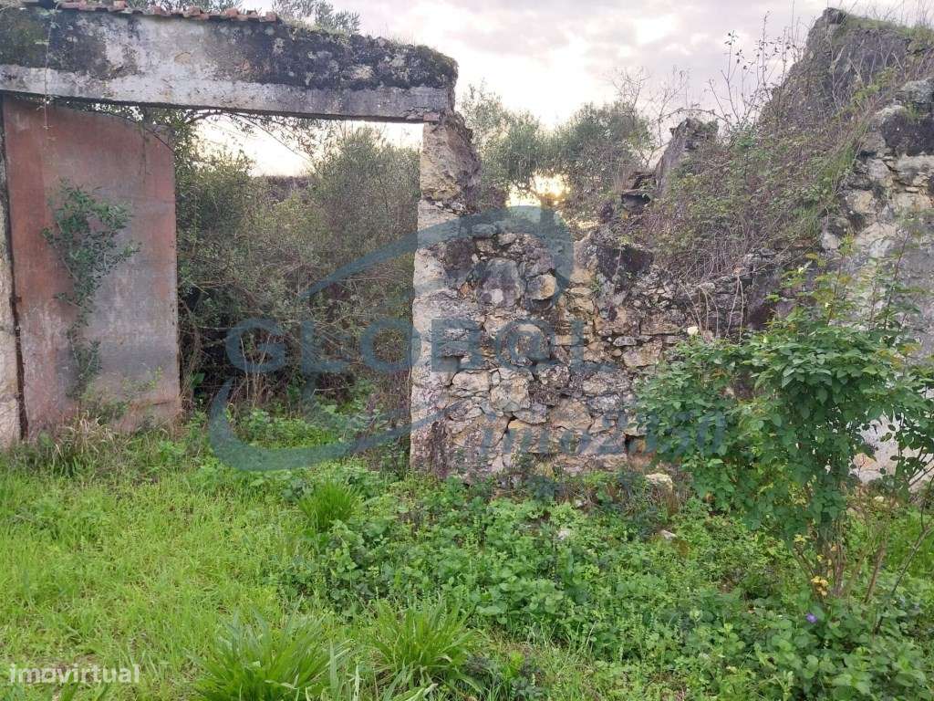 Terreno Venda Torres Novas - Grande imagem: 5/6