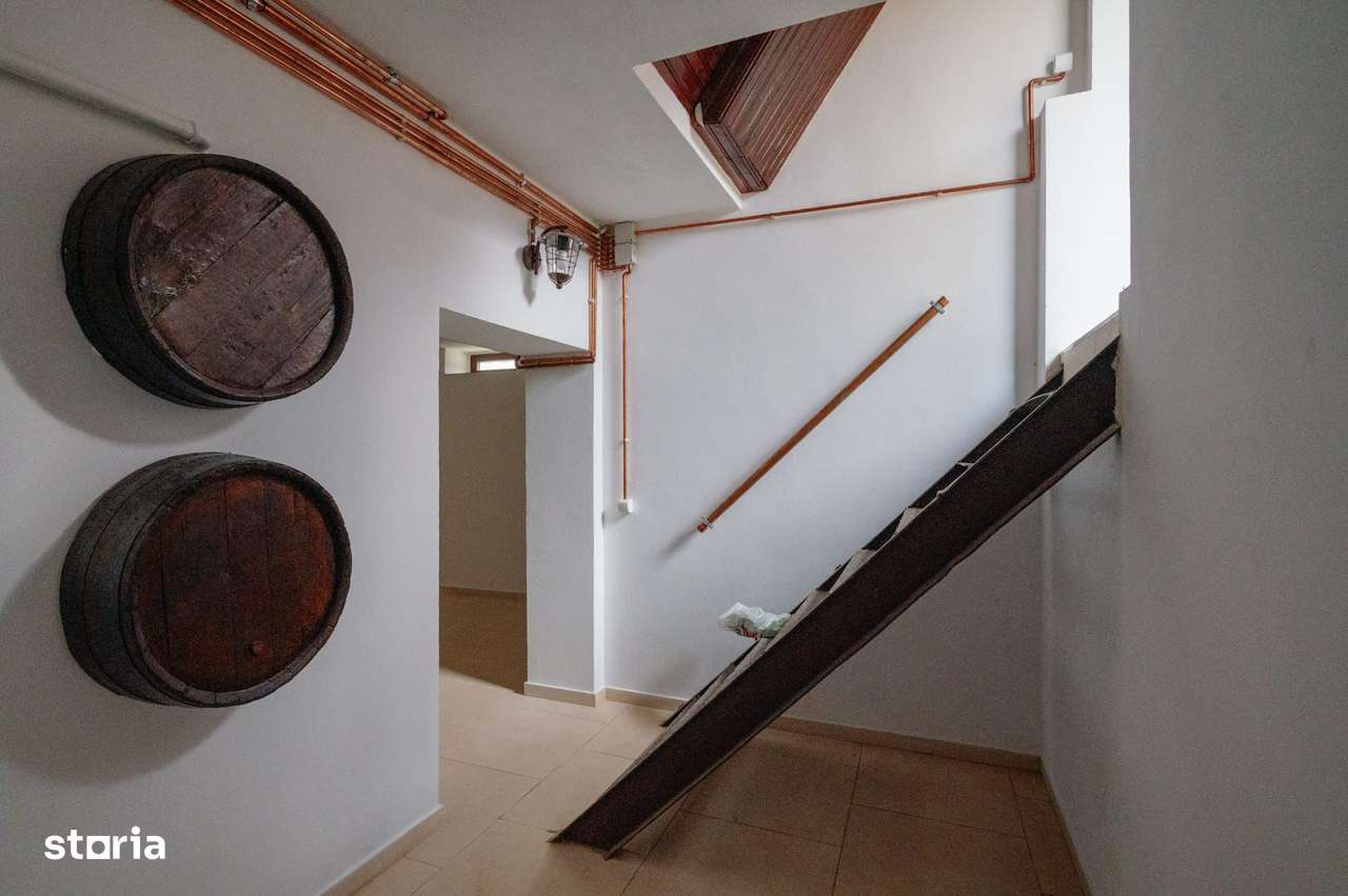 Proprietate unicat stil neoromânesc Ștefănești-8