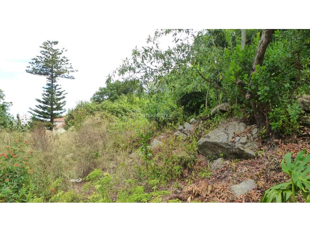 Terreno Urbano com 856m2 PIP em Aprovação na Portela de Sintra-5