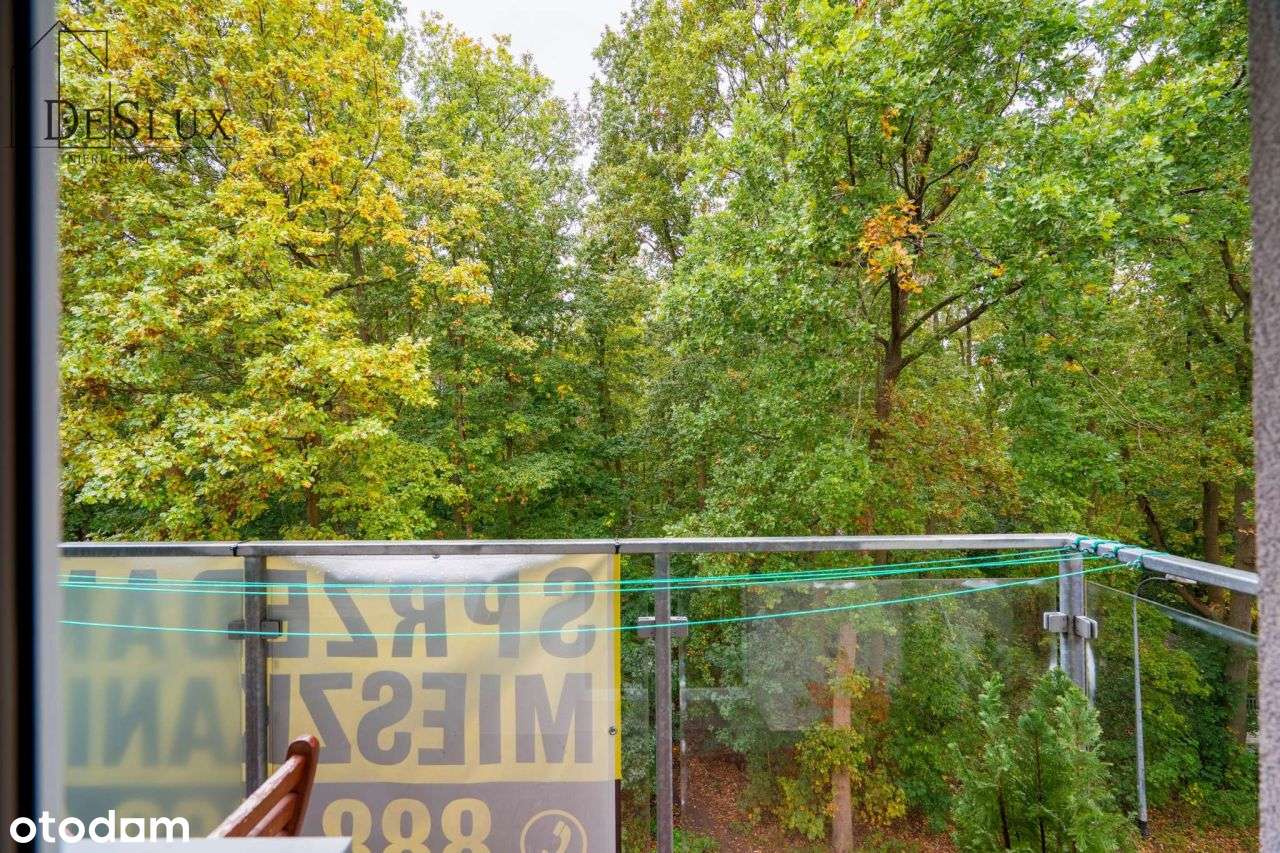 Dwupokojowe mieszkanie z oddzielną kuchnią-4