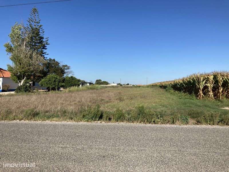 Terreno perfeito para mudar a sua vida para o campo! - Grande imagem: 4/6