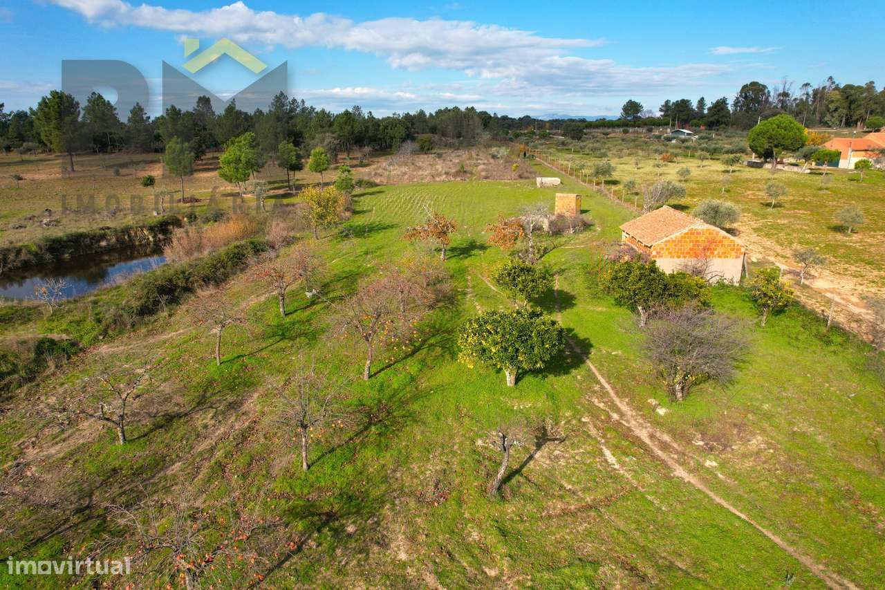 Terreno Rústico  Venda em Escalos de Baixo e Mata,Castelo Branco - Grande imagem: 4/19