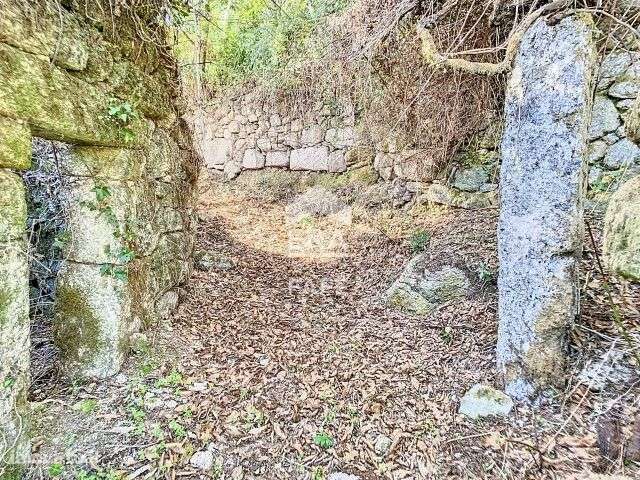 Moradia para restauro em Várzea Cova, Fafe - Grande imagem: 3/15