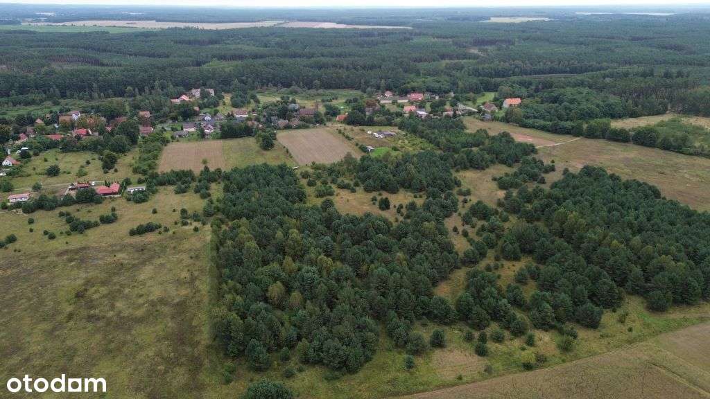 Blisko jeziora  - malowniczy Kosobudz/k Łagowa - Pełny obrazek: 5/9