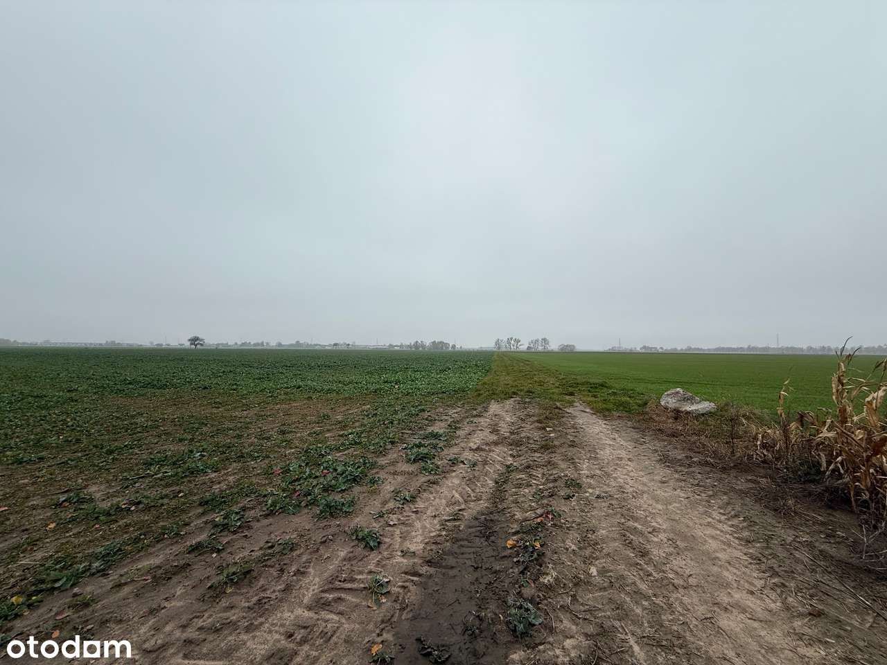 Grunt inwestycyjny, turystyka, sport i rekreacja, Batorowo-3