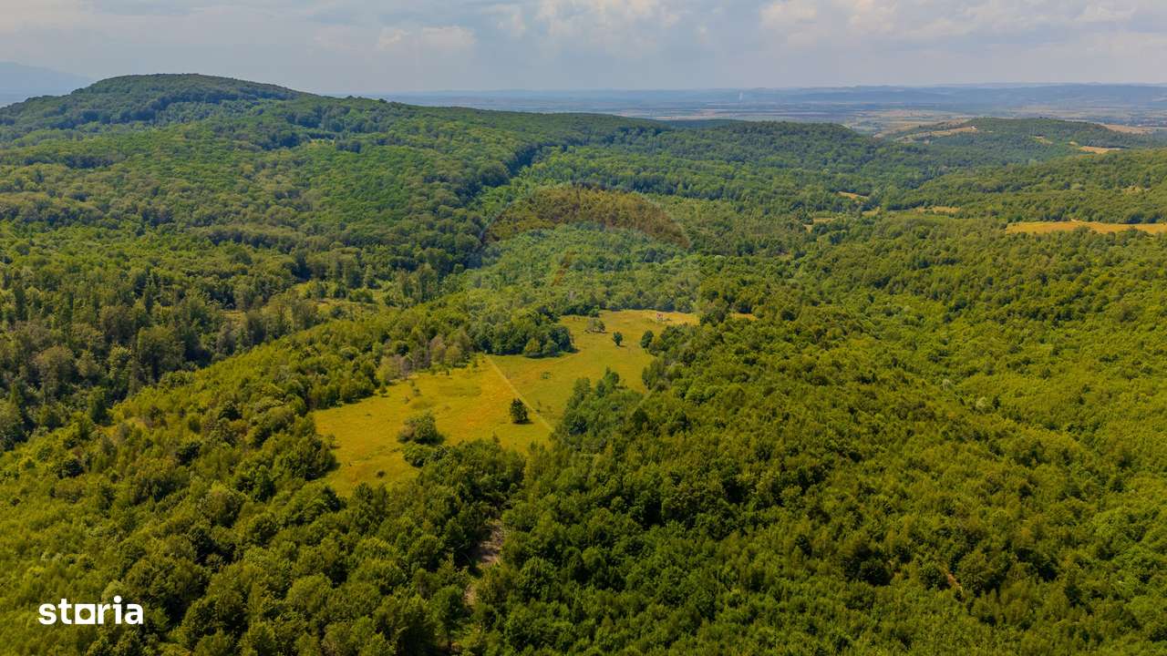 COMISION 0% Teren Grid/Inima Naturii/ Oportunitate de investiție - Imagine principală: 5/17