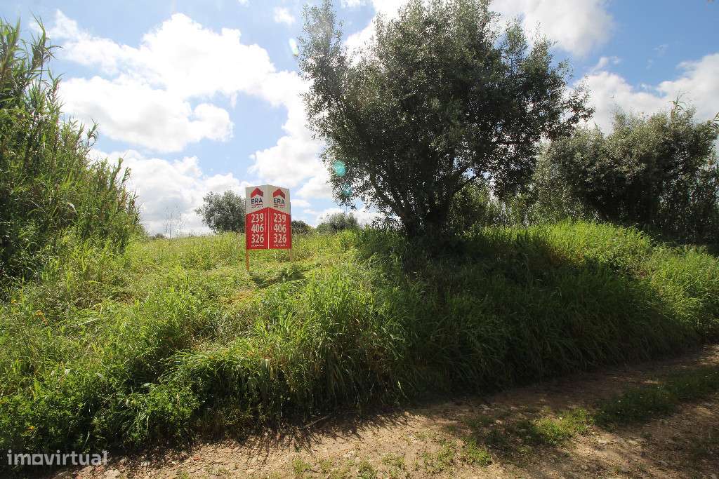 Terreno plano para construção de moradia em Ega, Condeixa-a-Nova - Grande imagem: 2/4