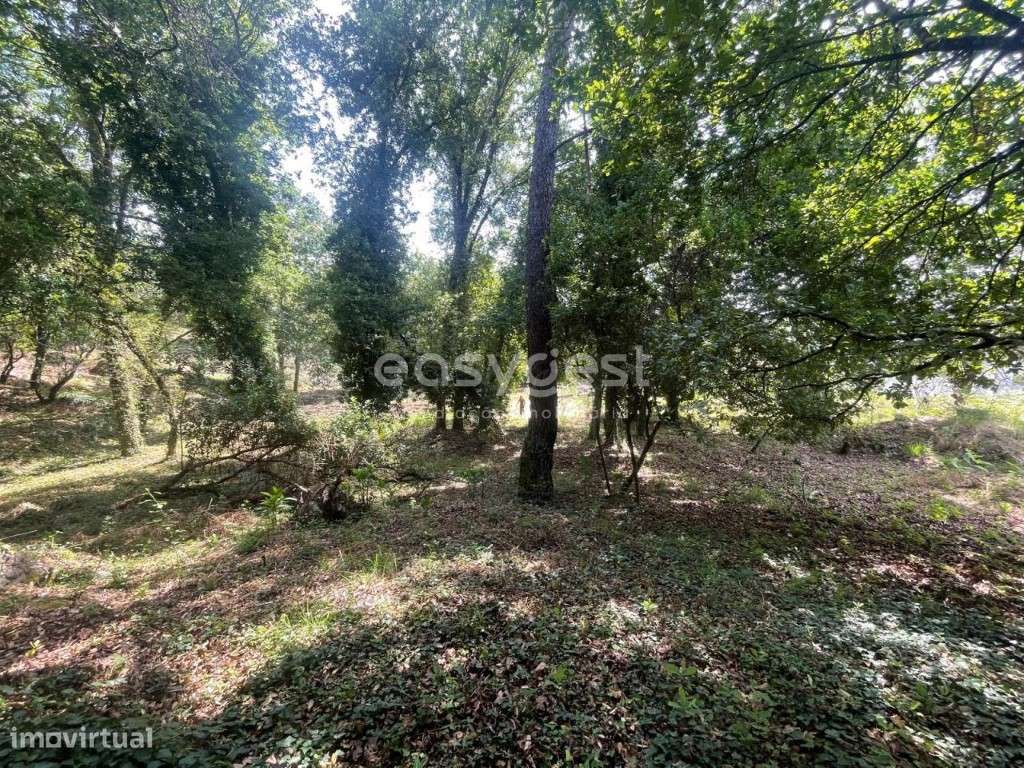 Terreno destinado a construção, localizado em Coutos de Viseu - Grande imagem: 2/22