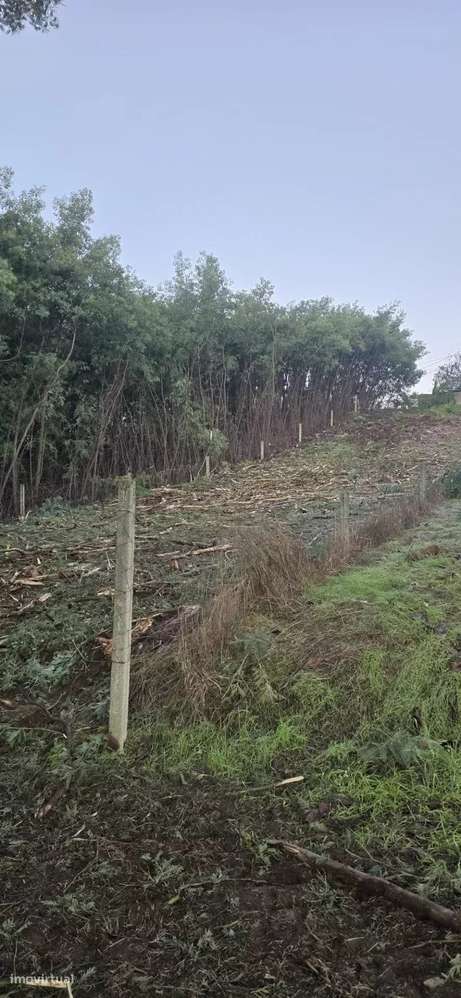 Onde o Sonho Encontra o Espaço Perfeito — Terreno Exclusivo no Coração - Grande imagem: 5/7