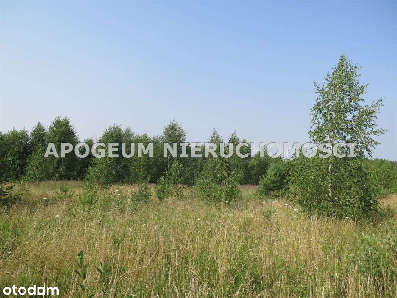 Działka budowlana w Kurianach - z mpzp-3