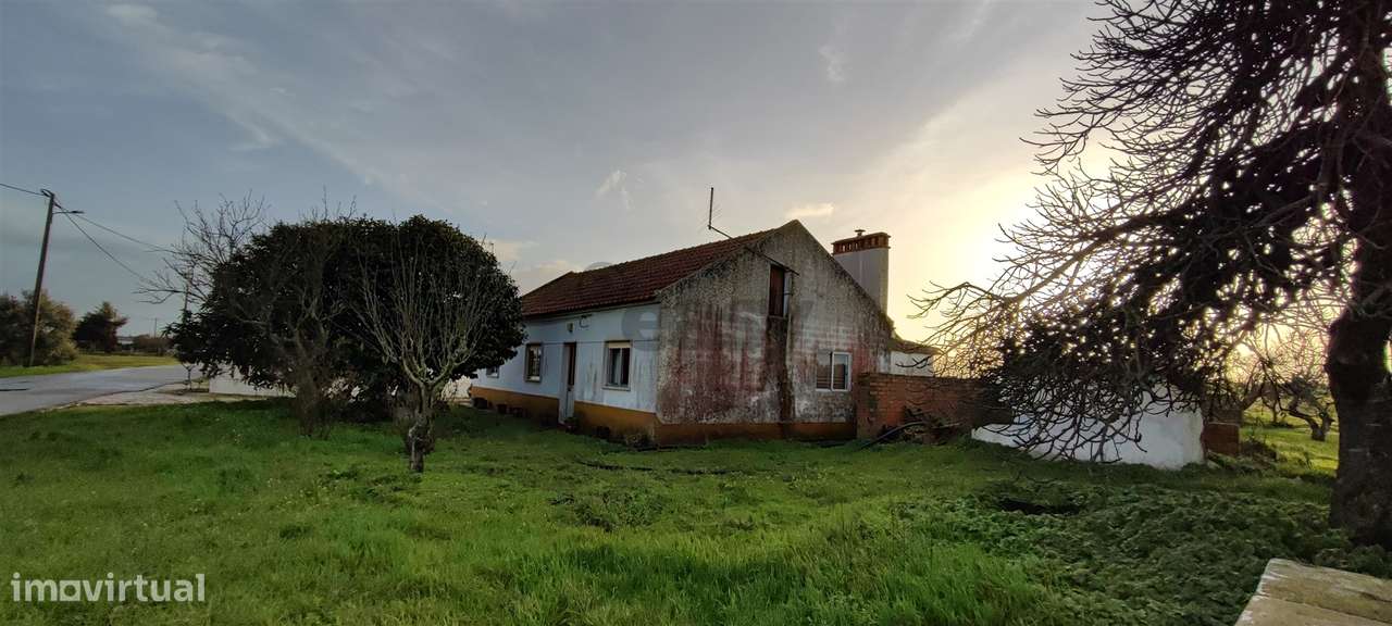 Moradia T3,  para Venda, Rua dos Guerreiros em Taipadas - Canha - Grande imagem: 4/39